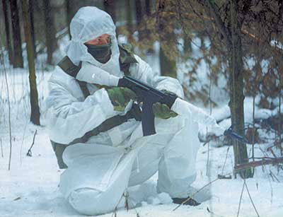 http://www.sinopa.ee/kalashnikov/k2001/k0101/k010152/01015401.jpg