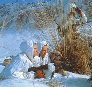http://www.sinopa.ee/kalashnikov/k2001/k0101/k010152/01015501.jpg